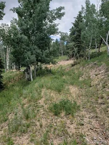 10th Street Jasper, CO 81144