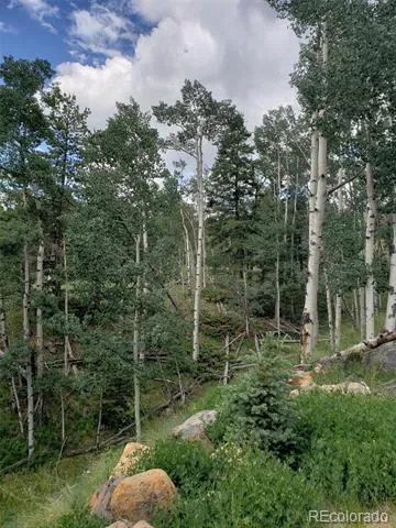 10th Street Jasper, CO 81144