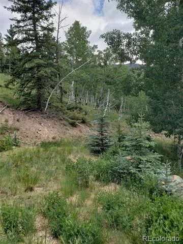 10th Street Jasper, CO 81144