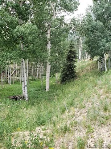 10th Street Jasper, CO 81144