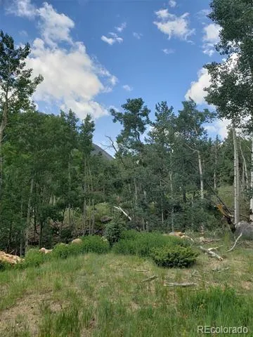 10th Street Jasper, CO 81144