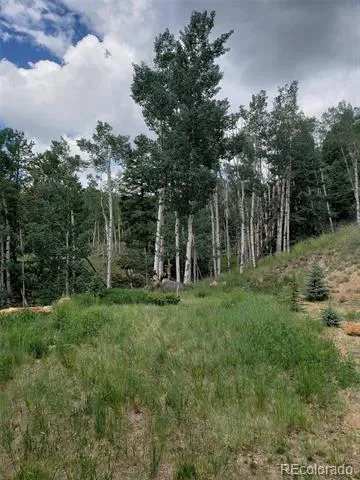 10th Street Jasper, CO 81144