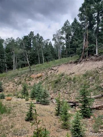 10th Street Jasper, CO 81144
