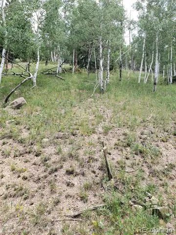 10th Street Jasper, CO 81144