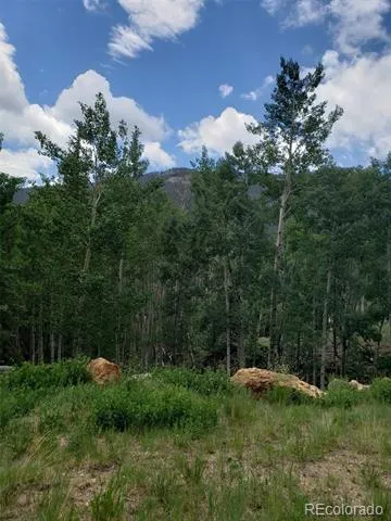 10th Street Jasper, CO 81144