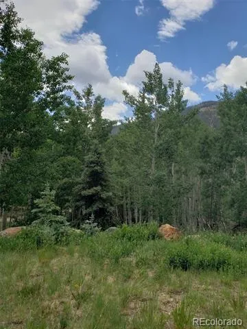 10th Street Jasper, CO 81144