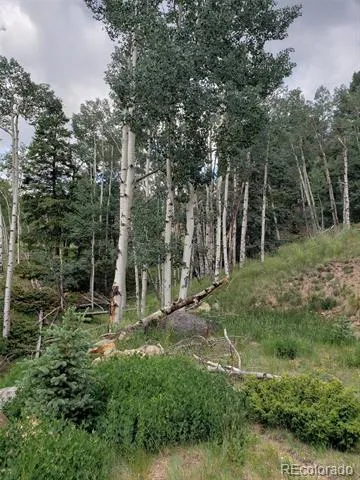 10th Street Jasper, CO 81144