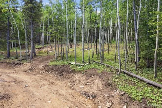 3450 Smith Hill Road Black Hawk, CO 80422