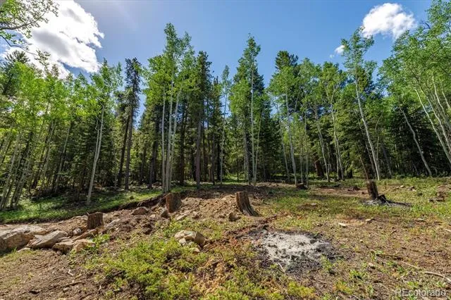 3450 Smith Hill Road Black Hawk, CO 80422