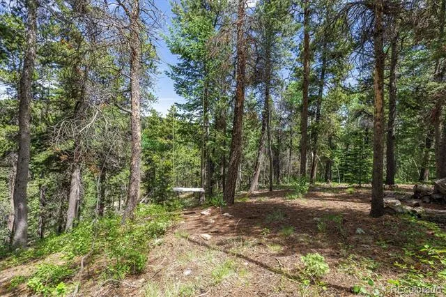 3450 Smith Hill Road Black Hawk, CO 80422
