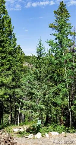 3450 Smith Hill Road Black Hawk, CO 80422