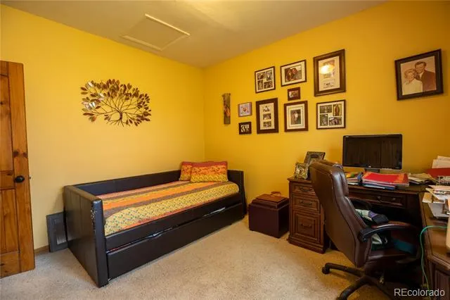 33729 County Road 361 Buena Vista, CO 81211