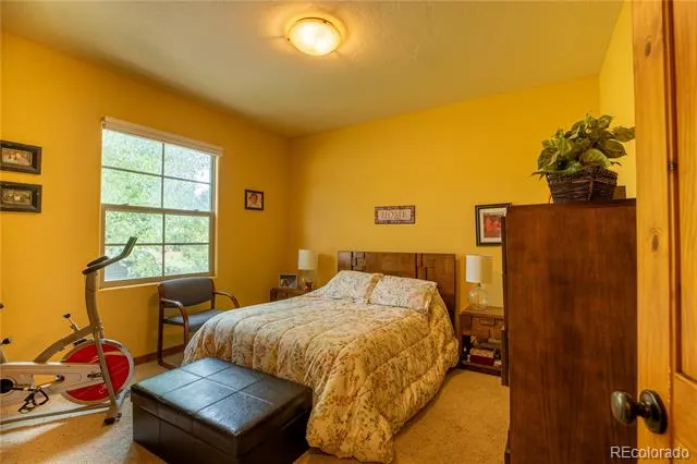 33729 County Road 361 Buena Vista, CO 81211