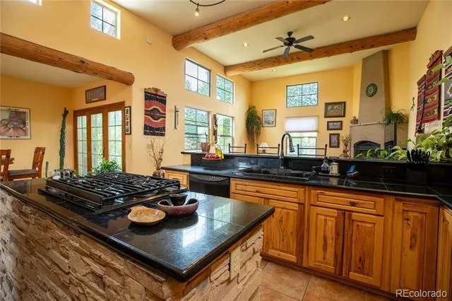33729 County Road 361 Buena Vista, CO 81211