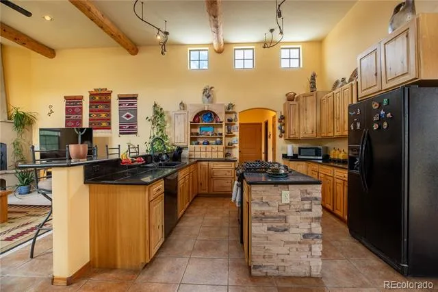 33729 County Road 361 Buena Vista, CO 81211