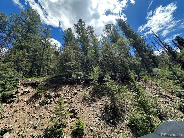 Preast Fort Garland, CO 81133