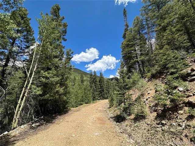 Preast Fort Garland, CO 81133