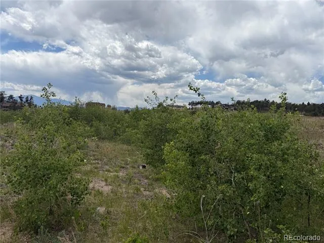 Address Not Shown Colorado Springs, CO 80908