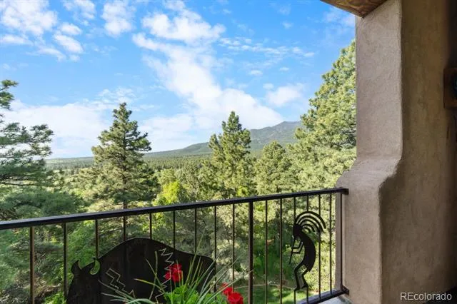 8221 Cuerna Verde Road Rye, CO 81069