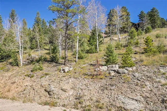 000 Granite Crag Circle Evergreen, CO 80439
