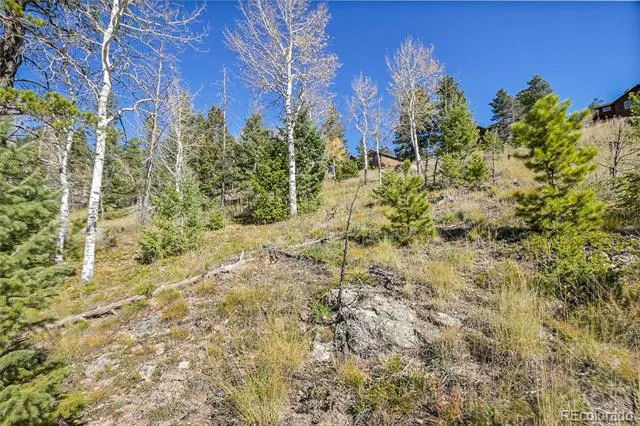 000 Granite Crag Circle Evergreen, CO 80439