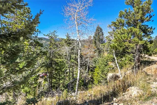 000 Granite Crag Circle Evergreen, CO 80439