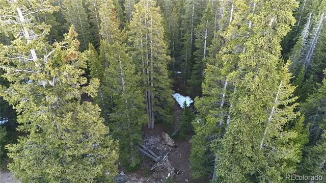 252 Silverheels Place Fairplay, CO 80440