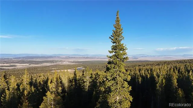 252 Silverheels Place Fairplay, CO 80440