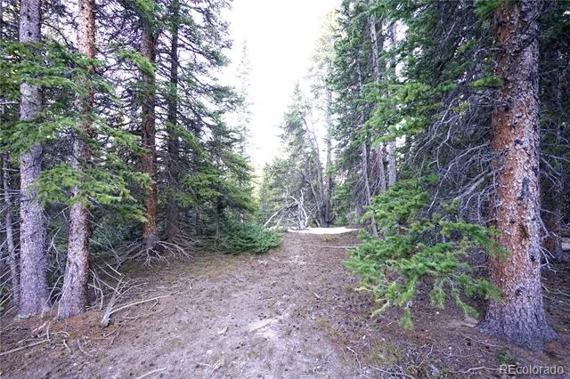 252 Silverheels Place Fairplay, CO 80440