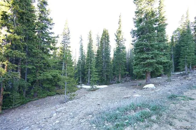 252 Silverheels Place Fairplay, CO 80440