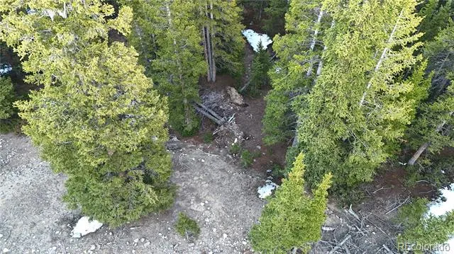 252 Silverheels Place Fairplay, CO 80440