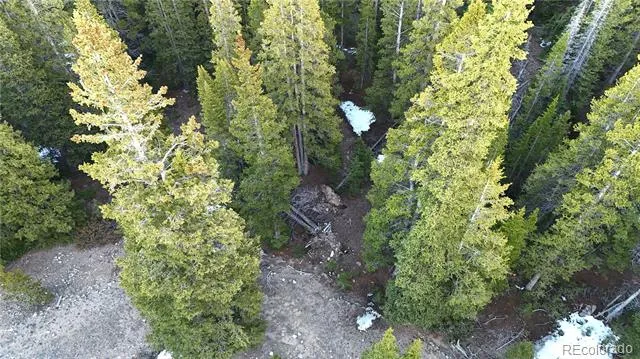 252 Silverheels Place Fairplay, CO 80440