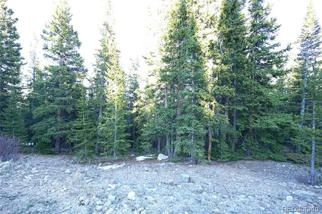 252 Silverheels Place Fairplay, CO 80440