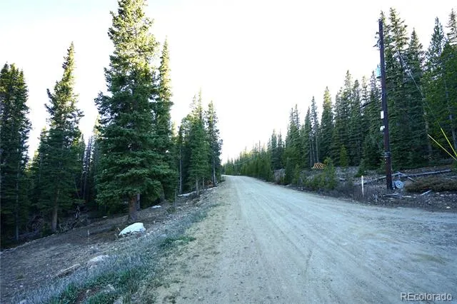 252 Silverheels Place Fairplay, CO 80440
