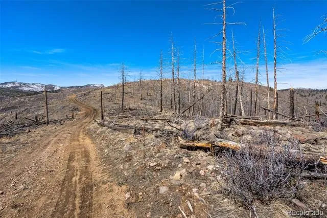 Rist Creek Road Bellvue, CO 80512