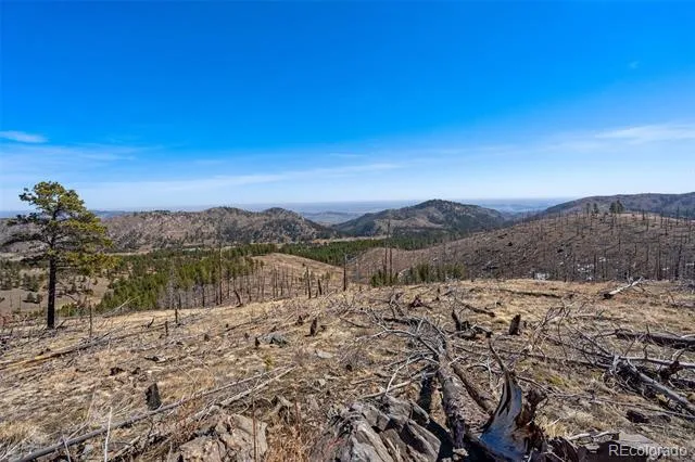 Rist Creek Road Bellvue, CO 80512