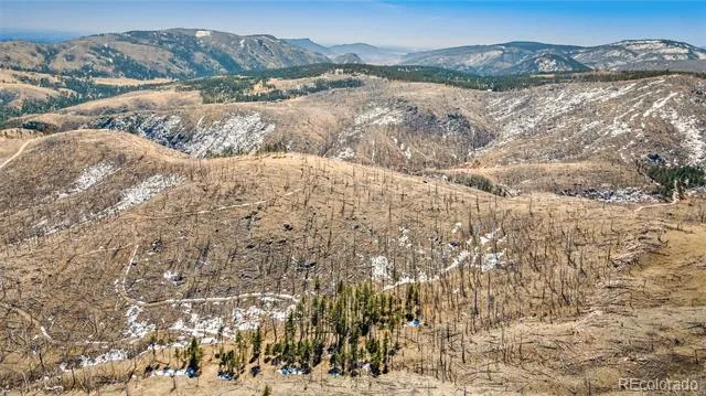 Rist Creek Road Bellvue, CO 80512
