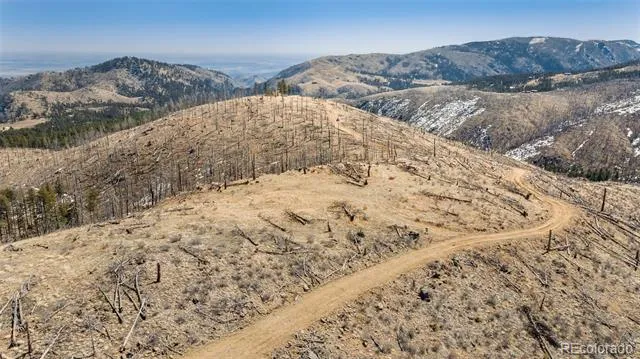 Rist Creek Road Bellvue, CO 80512