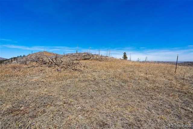 Rist Creek Road Bellvue, CO 80512