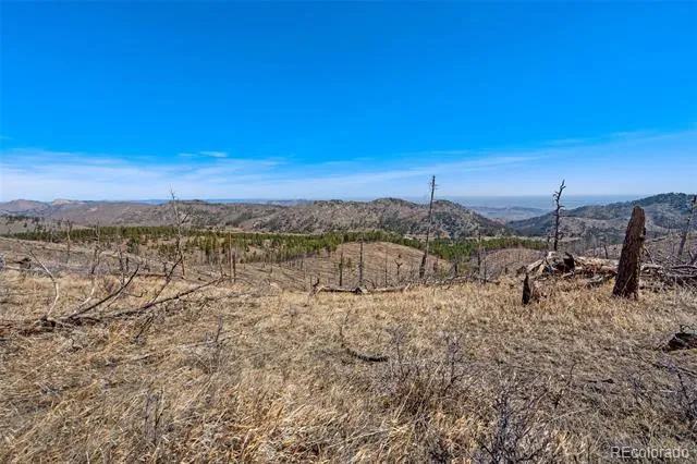 Rist Creek Road Bellvue, CO 80512