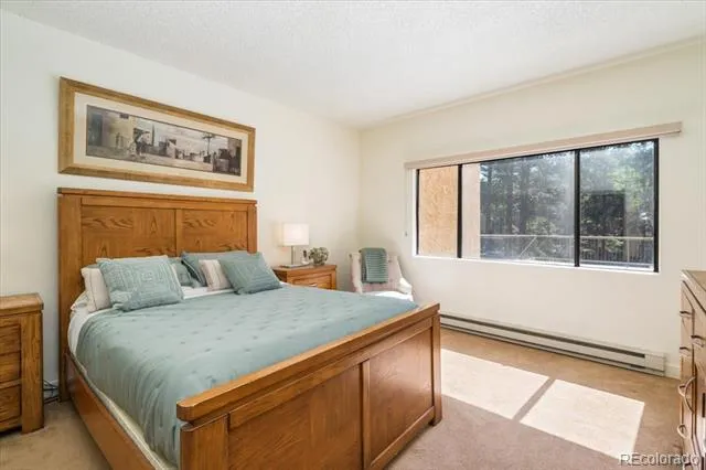 720 Columbine Road #104 Breckenridge, CO 80424