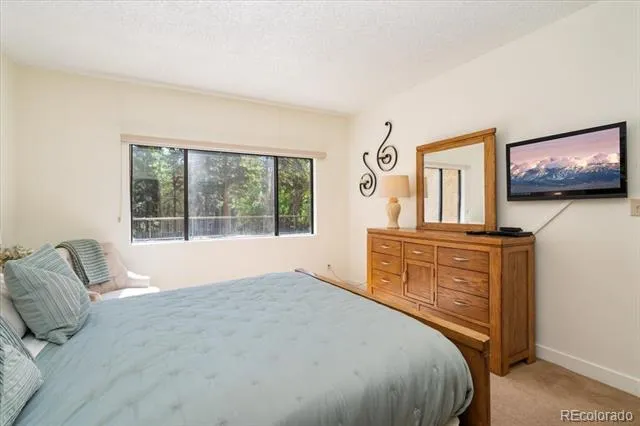 720 Columbine Road #104 Breckenridge, CO 80424