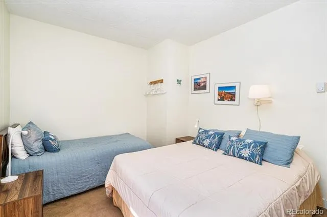 720 Columbine Road #104 Breckenridge, CO 80424