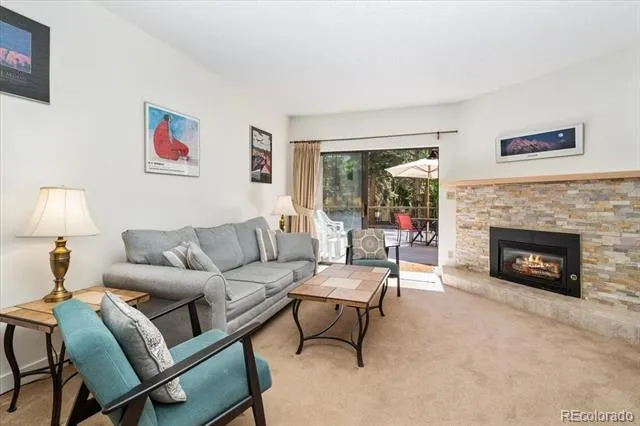 720 Columbine Road #104 Breckenridge, CO 80424