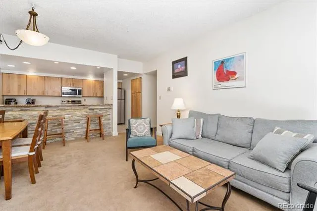 720 Columbine Road #104 Breckenridge, CO 80424