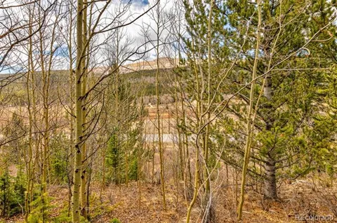 55780 Highway 9