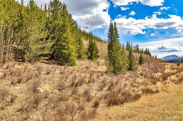 55780 Highway 9 Alma, CO 80440