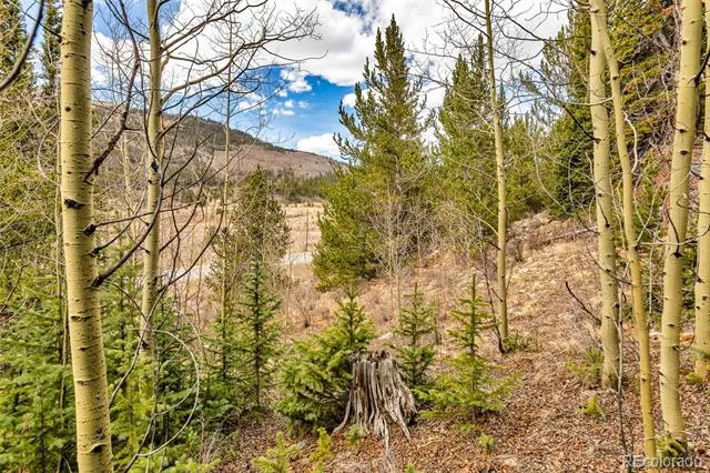 55780 Highway 9 Alma, CO 80440