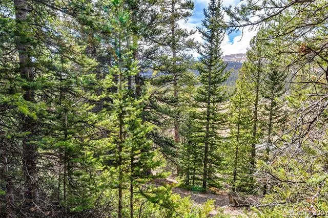 55780 Highway 9 Alma, CO 80440