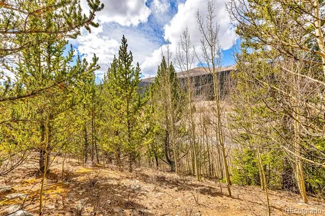 55780 Highway 9 Alma, CO 80440